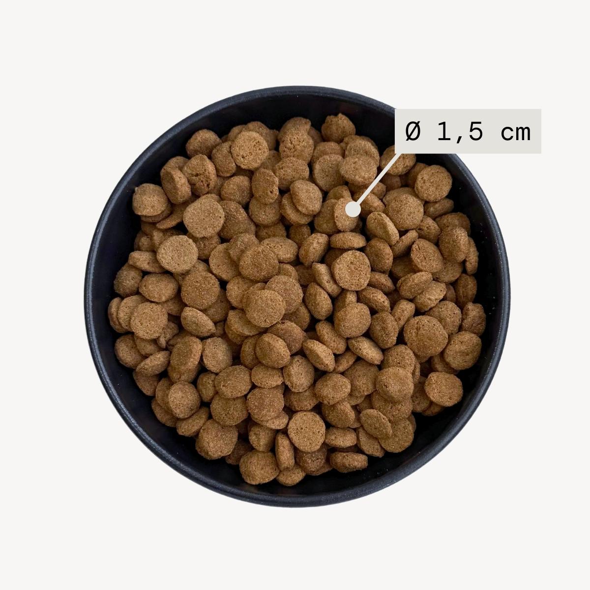 Black bowl filled with dog food with visual indicating kibble size