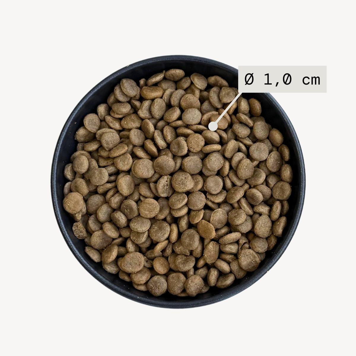 Black bowl filled with dog food with visuals indicating kibble size