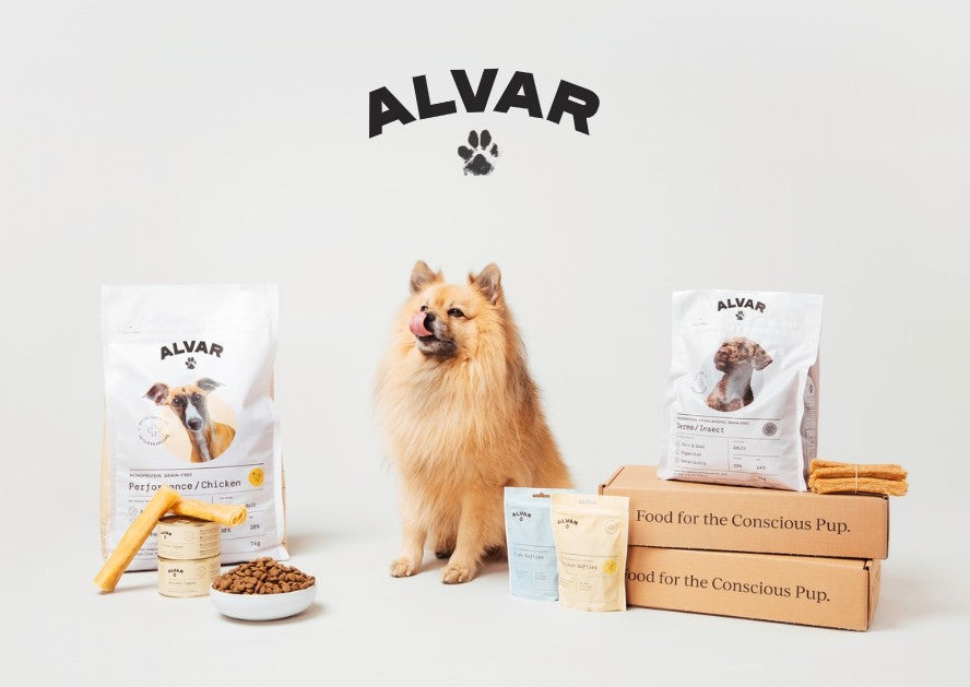 Alvar brand flyer