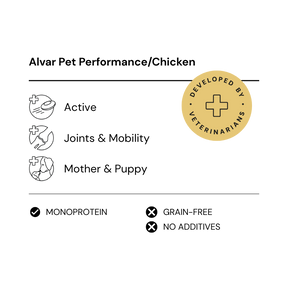 Alvar Pet Performance/Chicken kuivaruoka