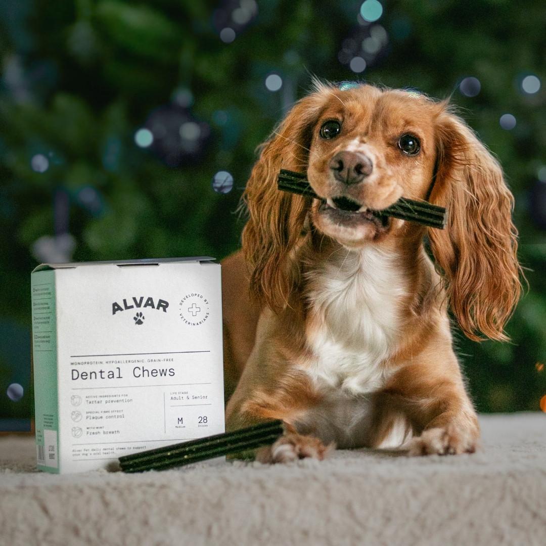 Dog with Dental Chews