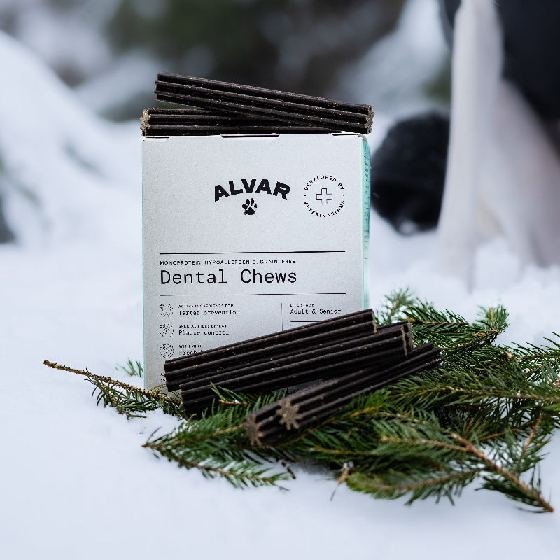Alvar Pet Dental Chews packaging with chews on a snowy background