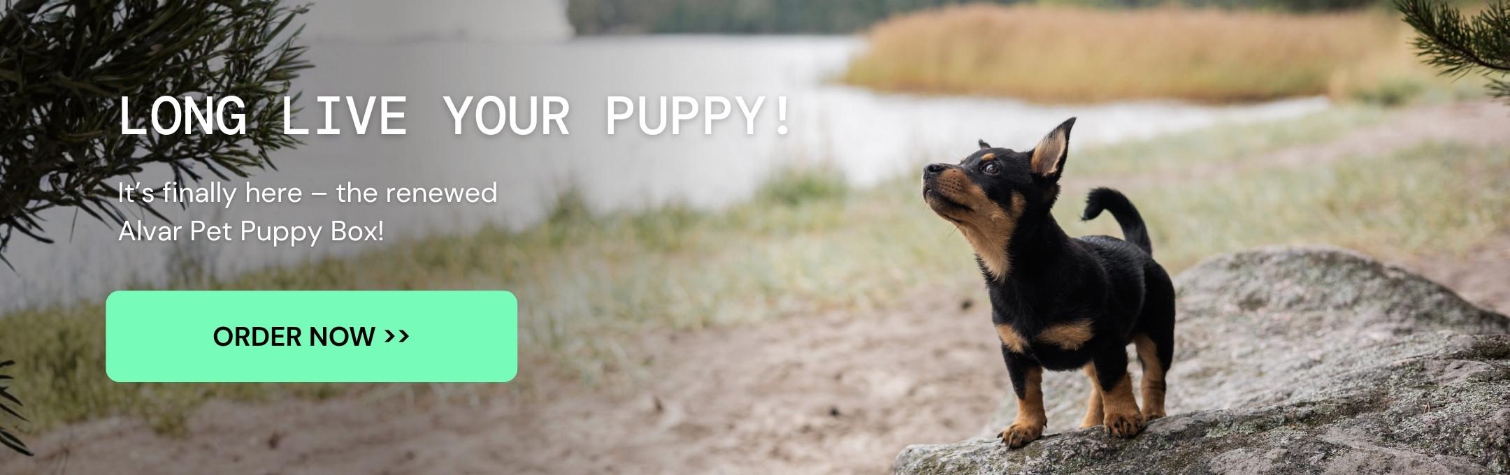 New Alvar Pet puppy box now available - food for puppies - puppy food