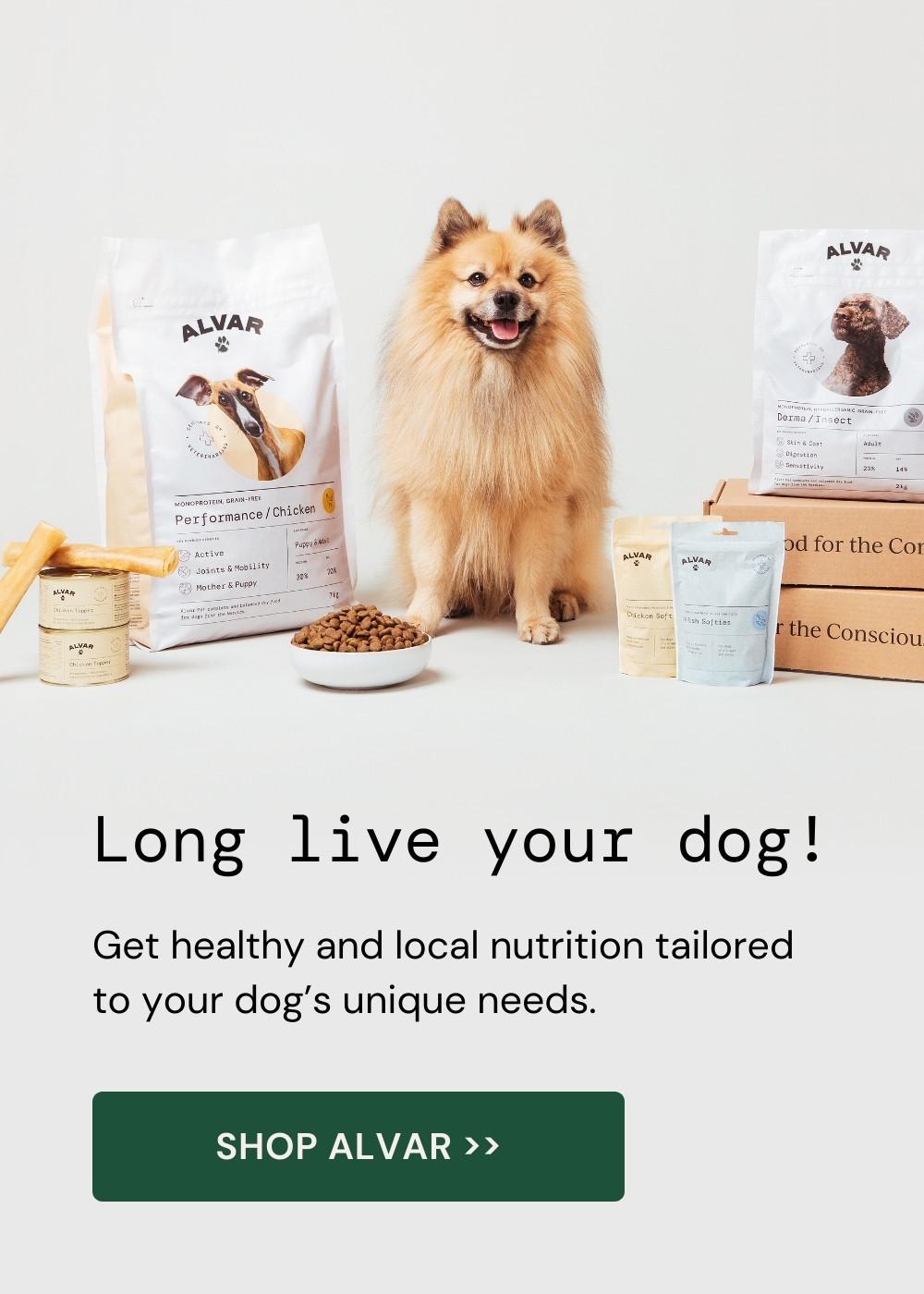 Alvar the dog with Alvar Pet dog food