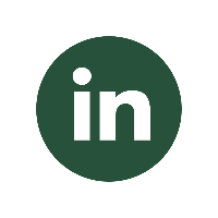 Linkedin icon