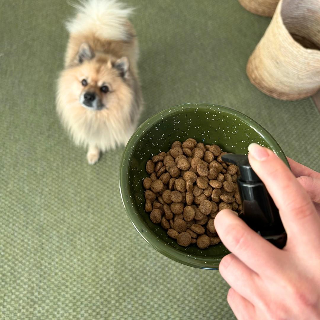 Dog waiting for mealtime with dry food and Omega+ supplement 