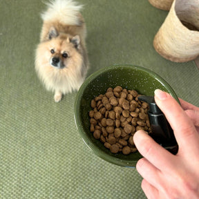 Dog waiting for mealtime with dry food and Omega+ supplement 