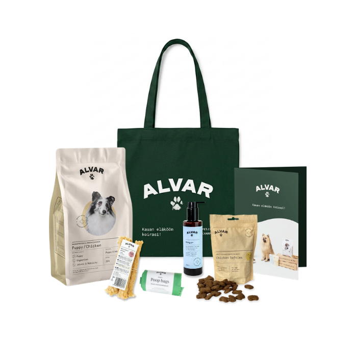 Alvar Pet Puppy Box