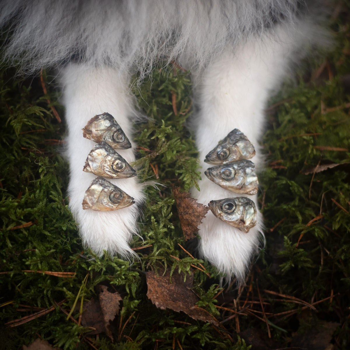 Alvar Pet Fish dog treats