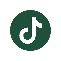 TikTok icon